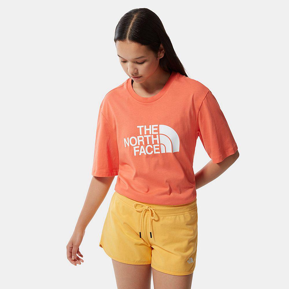 The North Face Relaxed Summer Γυναικεια T Shirt - Πορτοκαλι (ZNYR61792)